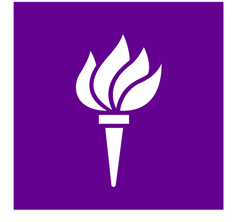 NYU logo