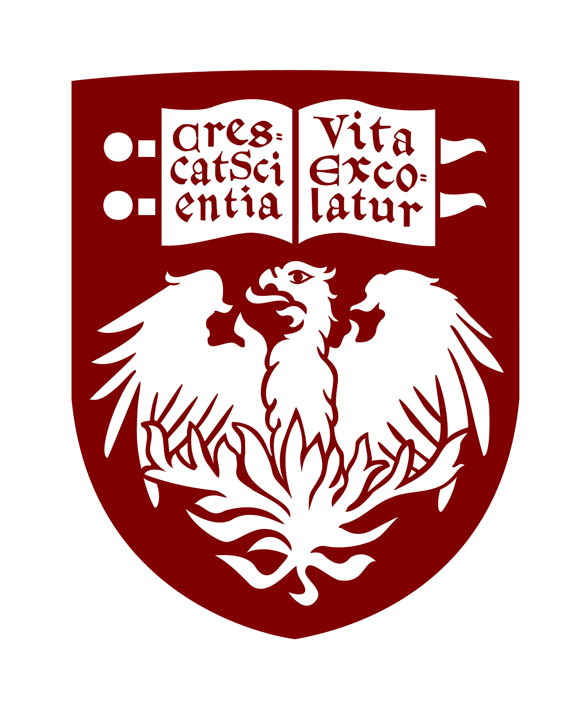 UChicago logo